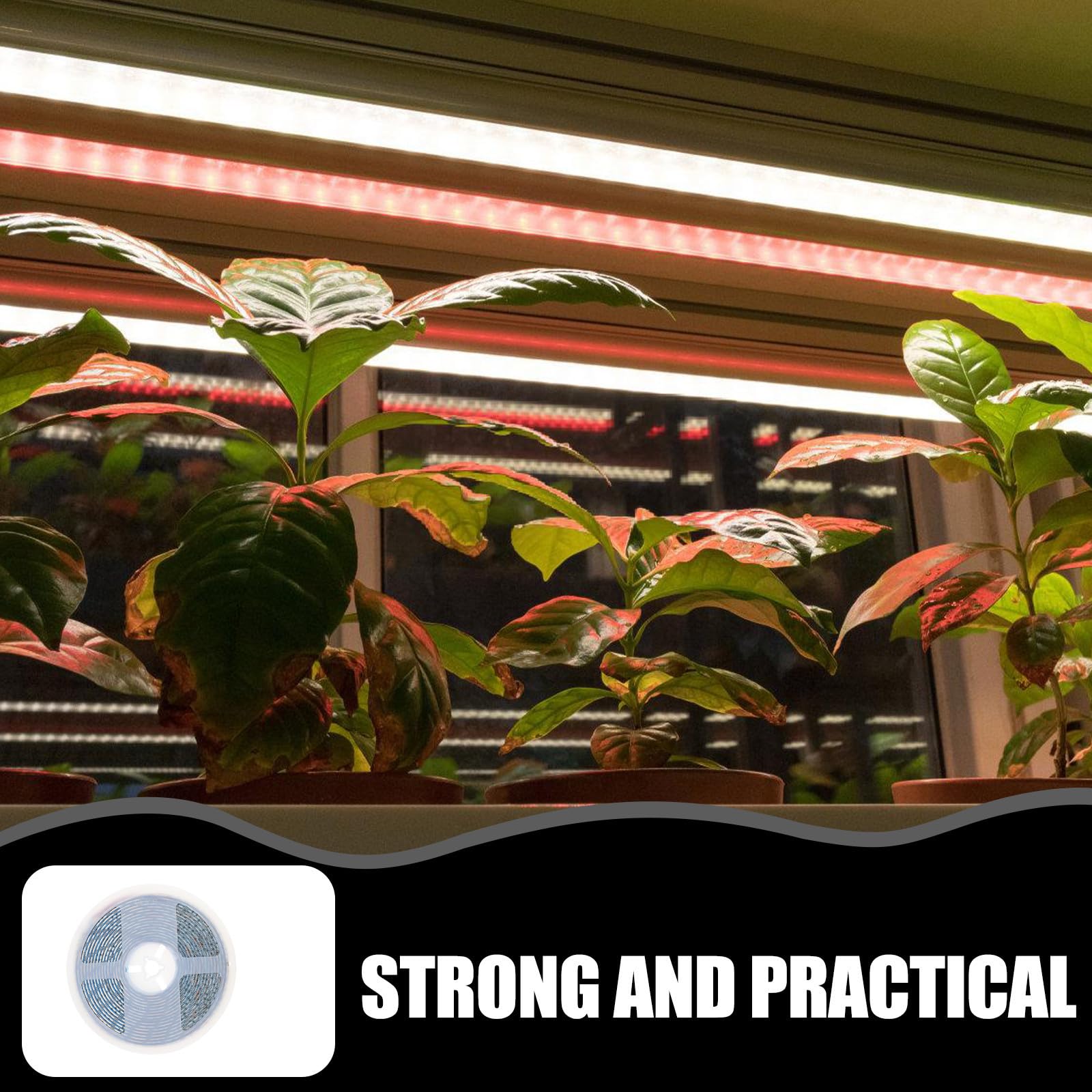 Bande Lumineuse LED de Croissance 5 Mètres Étanche Smd 5050 pour Plantes de Serrage Légumes et Fleurs Flexible Facile à Installer pour Semis