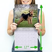 Vista 648 de Razas de Perros 2017