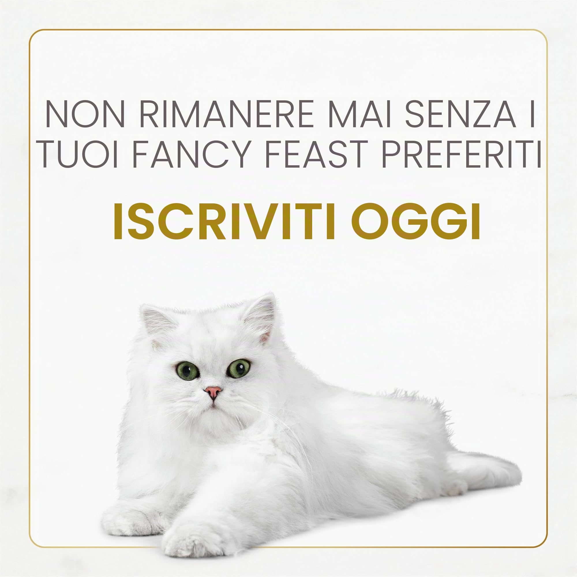 Purina Fancy Feast Cibo per gatti con salsa