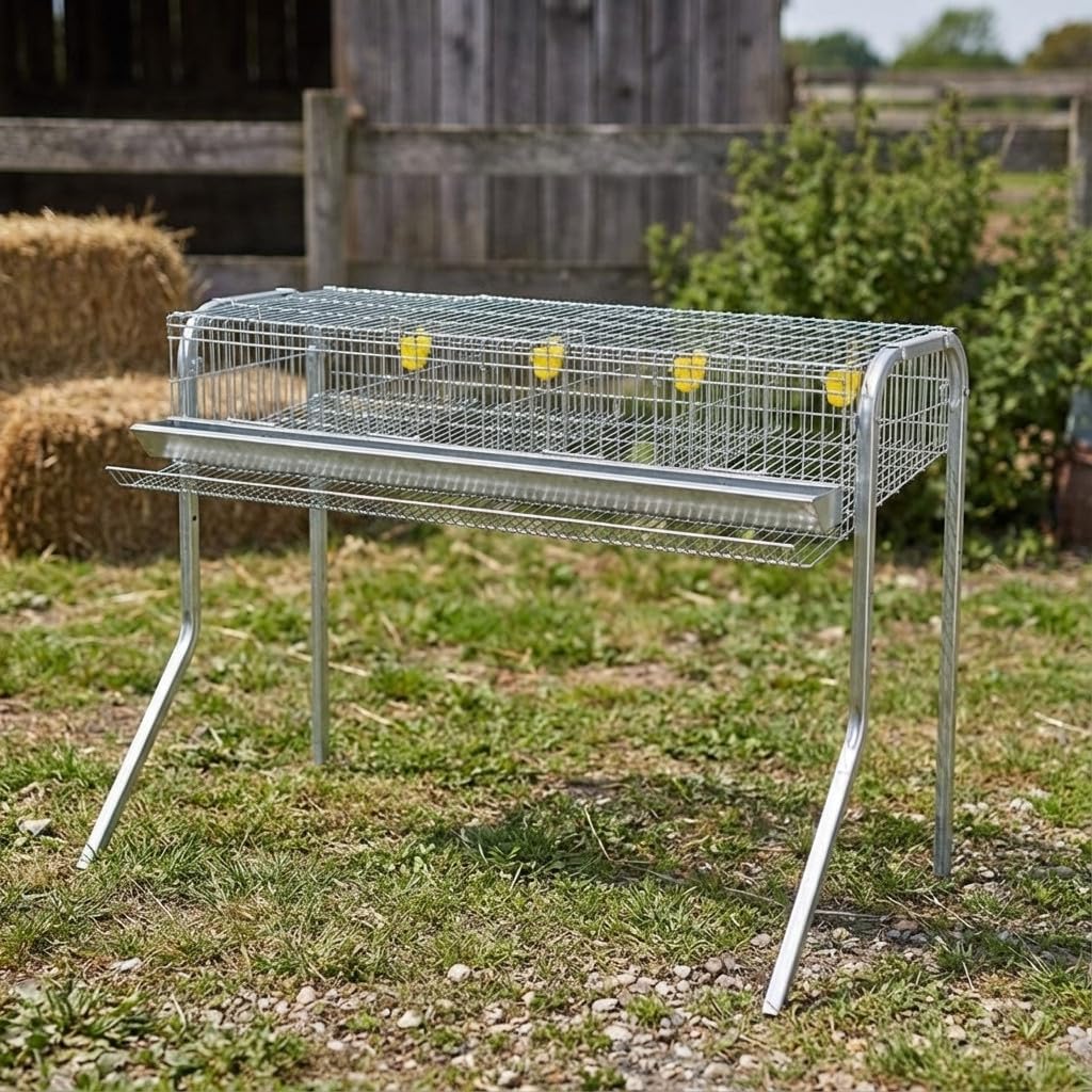 Suinga Jaula BATERIA CODORNICES con 4 departamentos para Pajaros -Comedero Frontal y bebederos automáticos, 105x47x90 cm