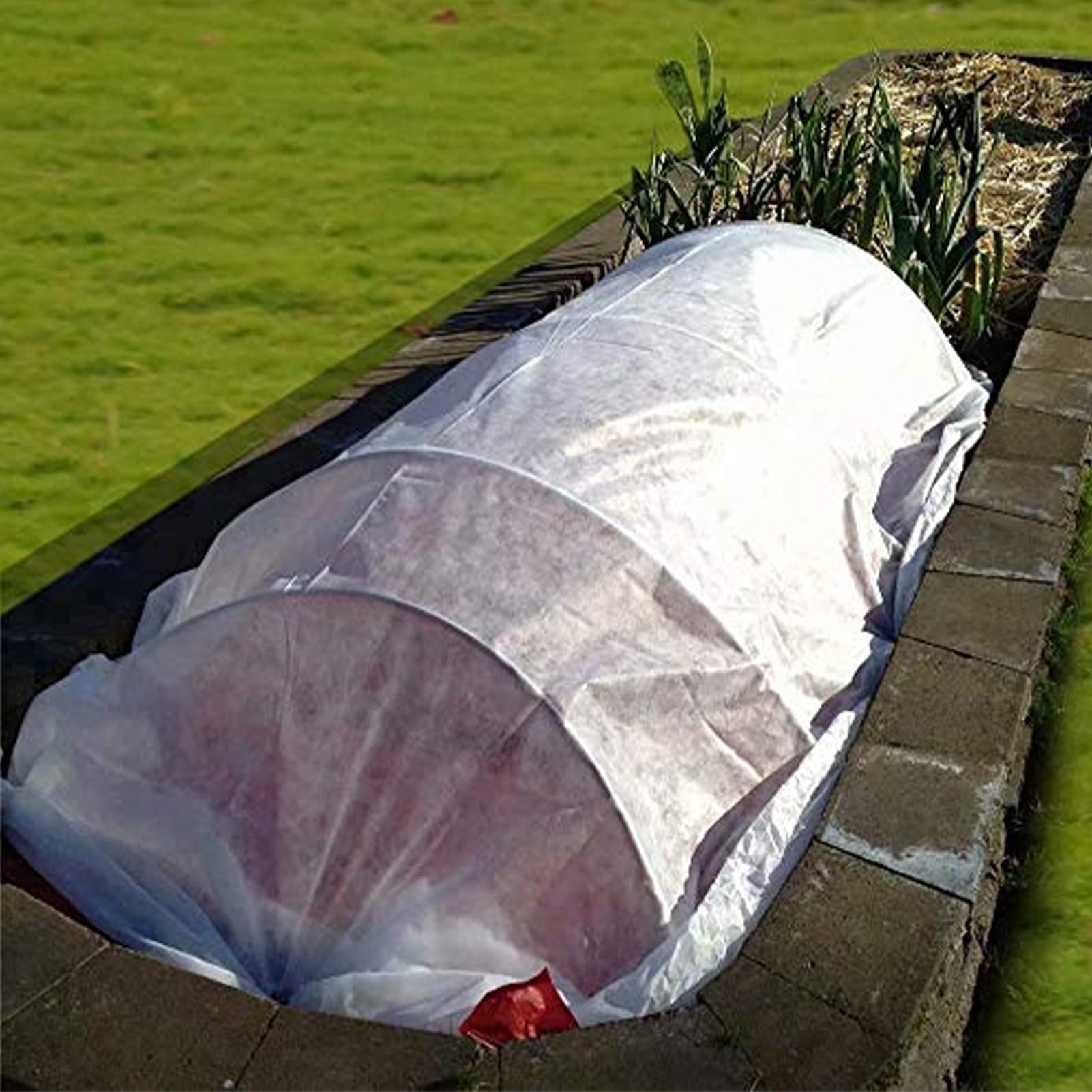 Coperture Invernali Per Piante 3 Metri X 10 Metri Telo Antigelo