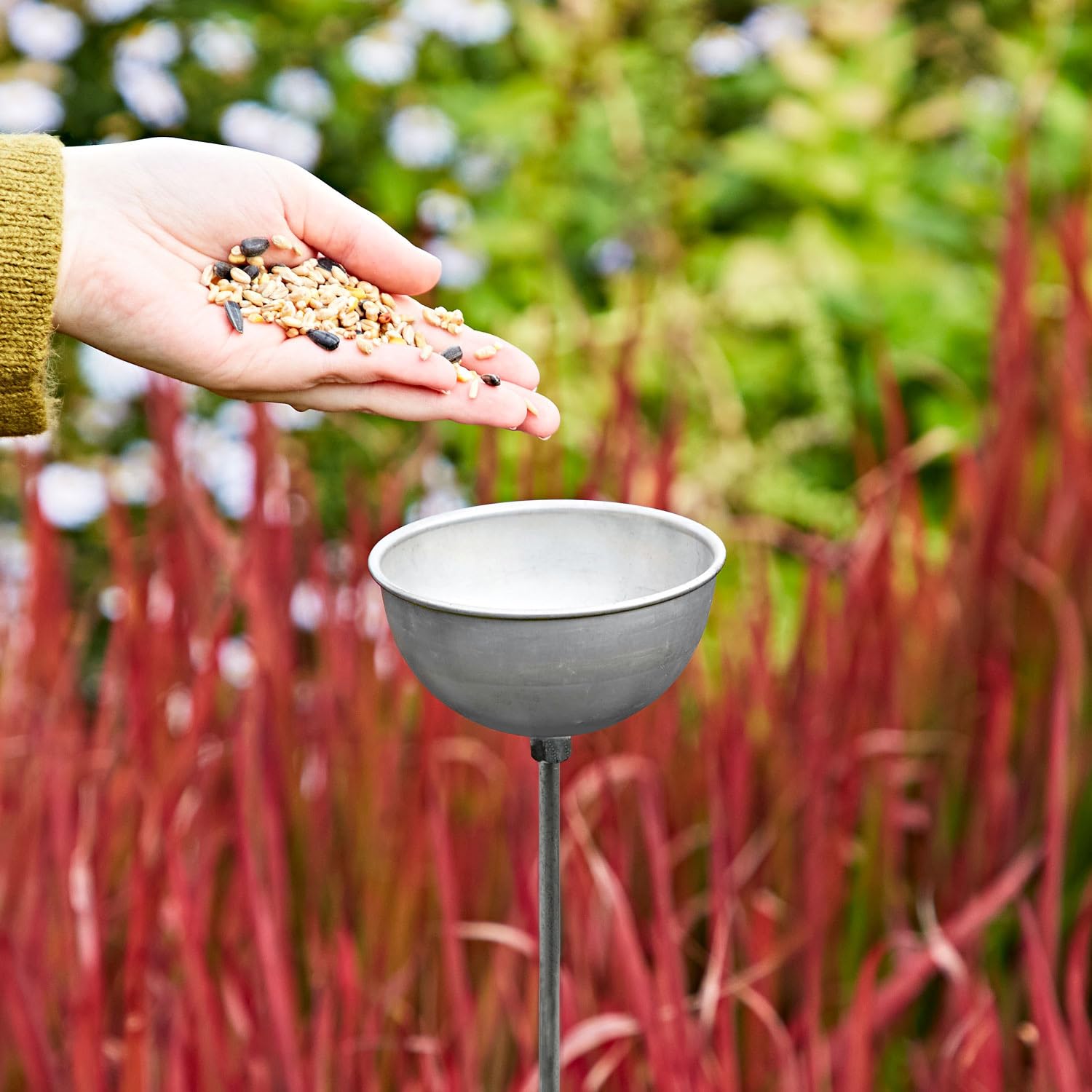 Iron Silver Rain Catcher - Medium - Garden Decor - Bird Feeder - Plant Support