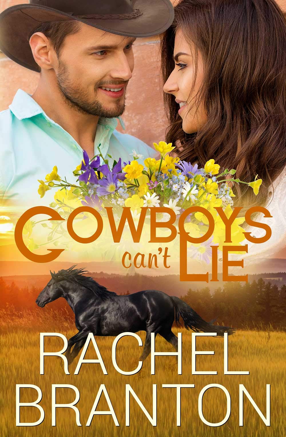 Cowboys Can't Lie (Lily's House Book 7)