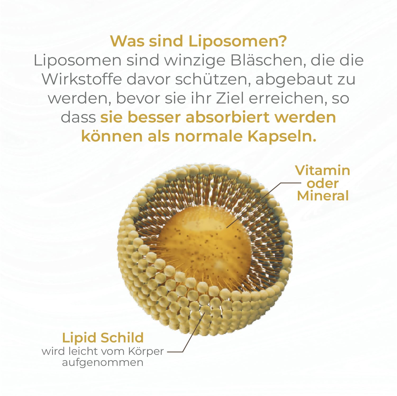 Eisen mit Vitamin B12 - Vegane Eisen - Mit liposomaler Technologie für optimale Vitaminaufnahme - 90 Kapseln 3er Pack - Lotos Premium-Linie, hergestellt nach GMP-Qualitätsstandards