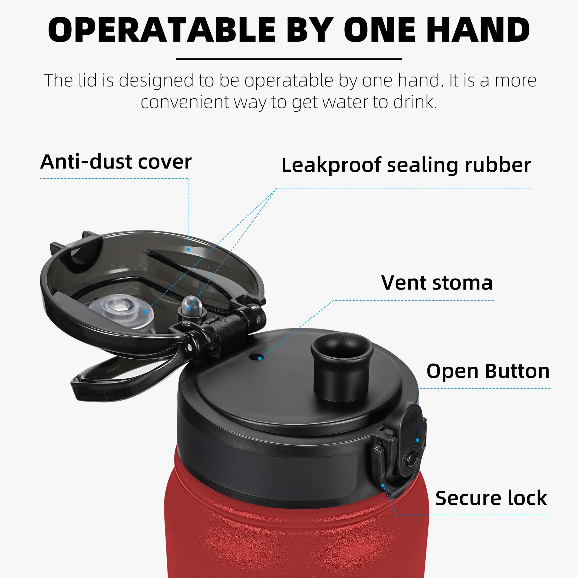 Fanhaw 1 L Insulated Stainless Steel Water Bottle with 1 Lid (Chug Lid) - for Kids Women, Men, Red, 946 ml - Image 2