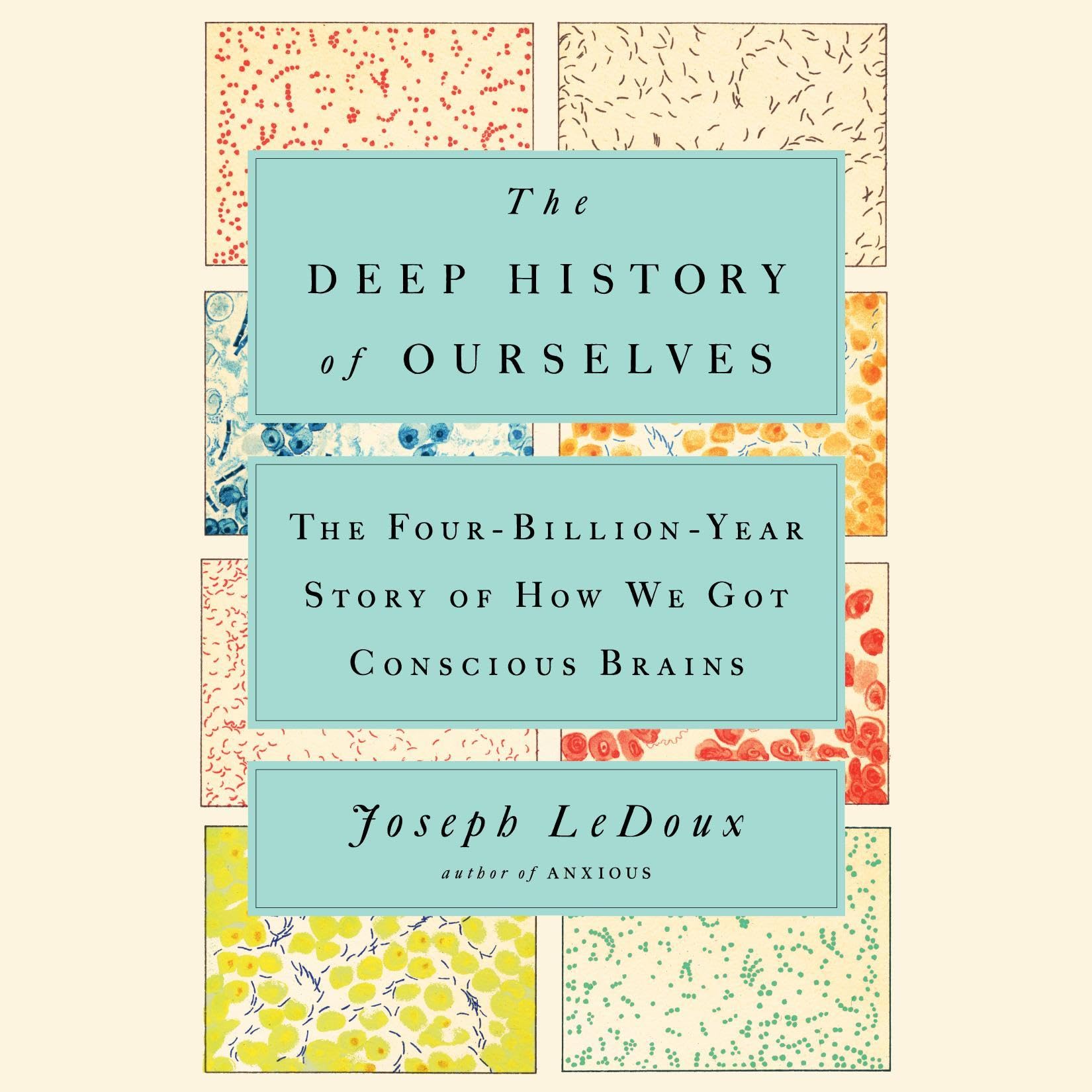 Cover art for The Deep History of Ourselves