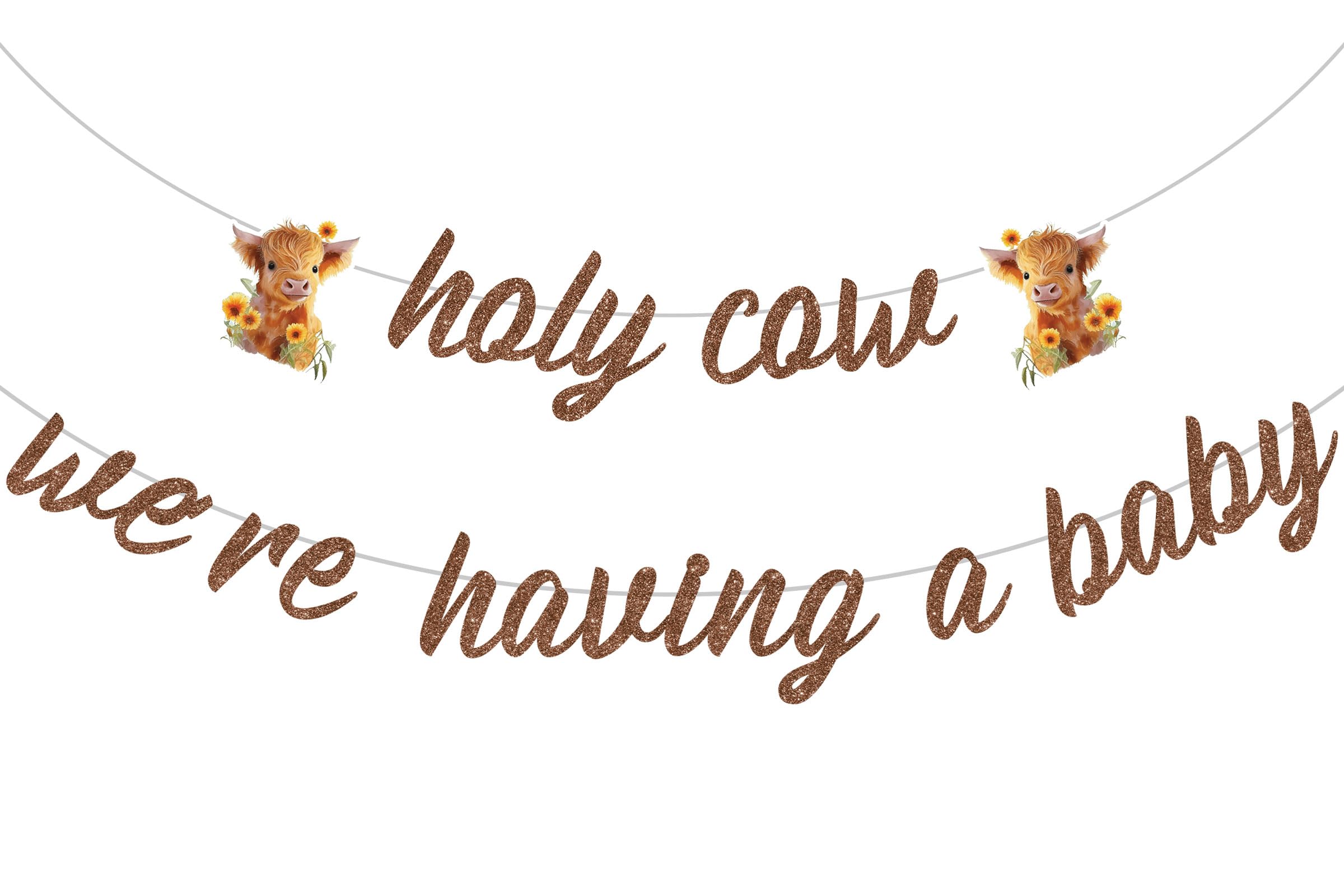 Cheereveal Highland Cow Banner - Holy Cow We Are Having A Baby Decorations, Farm Highland Cattle Baby Shower Party Supplies for Boy or Girl