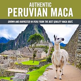 Viva Naturals Organic Maca Powder, Gelatinized, 16 oz (1 lb) - Vegan, USDA Organic, Gluten-Free, Non-GMO Peruvian Superfood in Resealable Bag