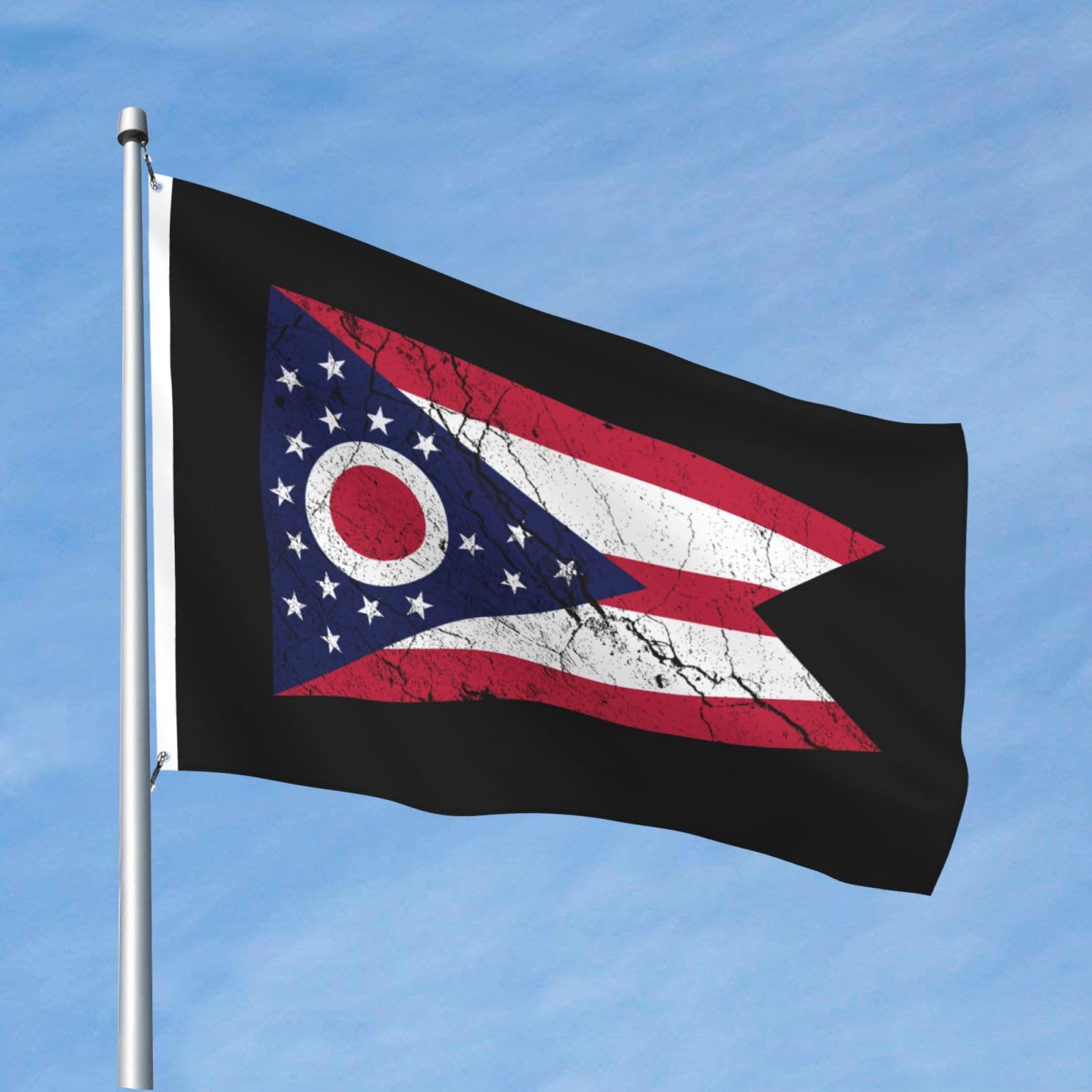Amazon.com : QIZYOQA Flag Of Ohio Texture Effect Flag 4x6 Ft