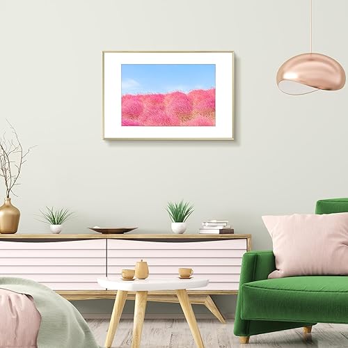 Vista 157 de Frametory - Marco de aluminio de 11 x 14 para fotos de 8 x 10 (en pulgadas), con paspartú marfil, de pared, con gancho de sierra, pestañas Bronce