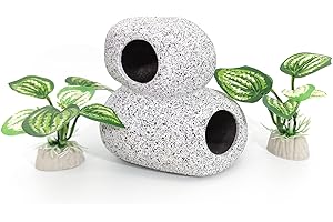 Quaint Betta Fish Decorations for a Miniature Aquatic Haven