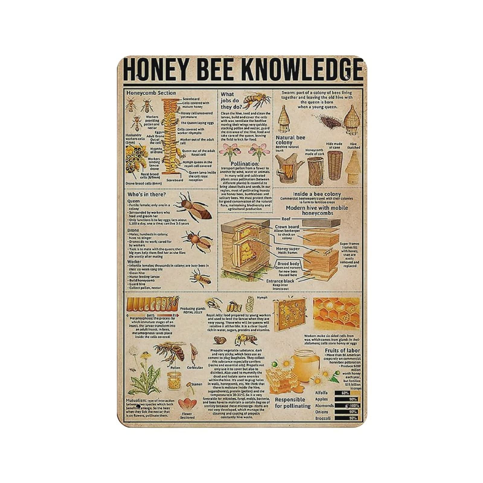 rayprint Metal Tin Sign Honey Bee Knowledge Vintage Tin Poster Metal Sign Wall Decoration Country Kitchen Home Garage Decor 12"x8"