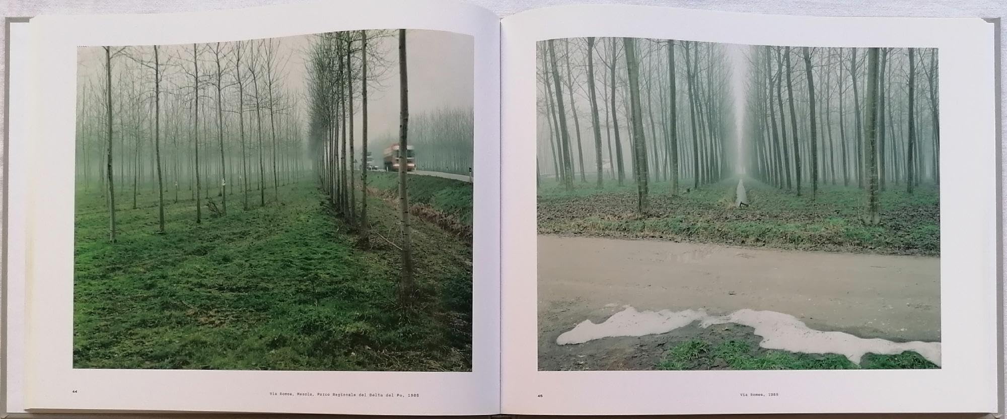 Cinque paesaggi, 1983-1993. Ediz. multilingue