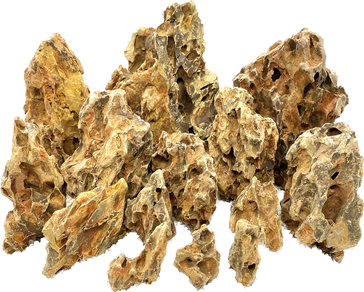 Amazon | RAKYPET【安心・選べる】気孔石レイアウトセット 4000gセット