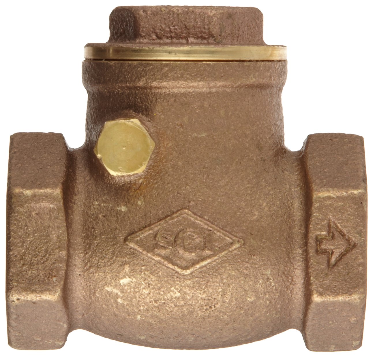 Dixon SWCV75 Brass Horizontal Swing Check Valve, 3/4