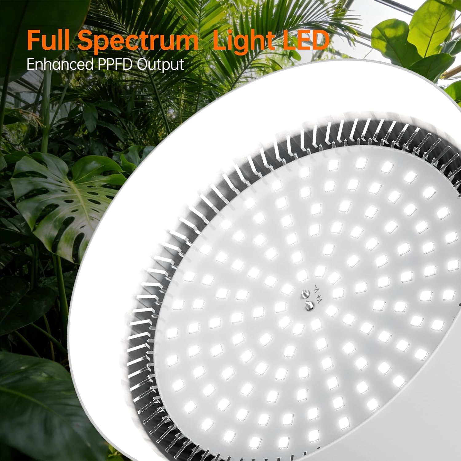 Bstrip Hanging Grow Lights for Indoor Plants, Two Head One Cord, 50W Full Spectrum Hanging Plant Light with Timer, 5000K Daylight White Pendant Grow Light for Garden, Flowers, Succulents Growing