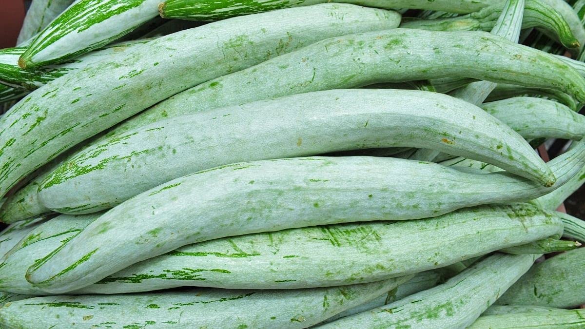 Golden Hills Farm High Yield Snake Gourd Hybrid F1 40+ Seeds (B095PZXST9) Amazon Price History, Amazon Price Tracker