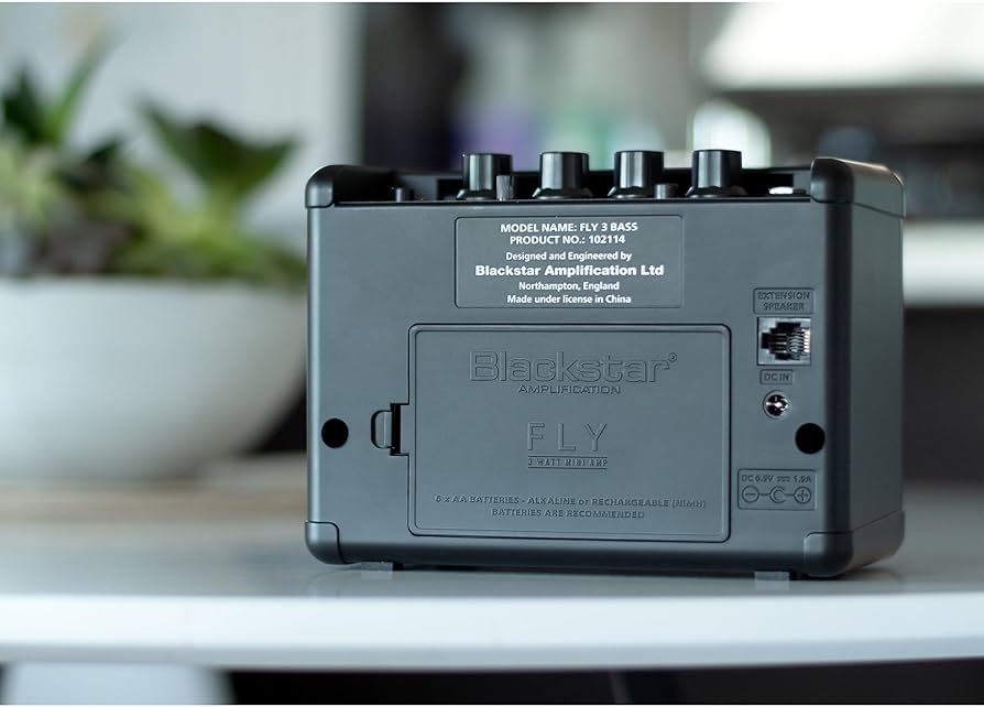Amazon.com: Blackstar Spector FLY3 Bass Mini Amp for Spector