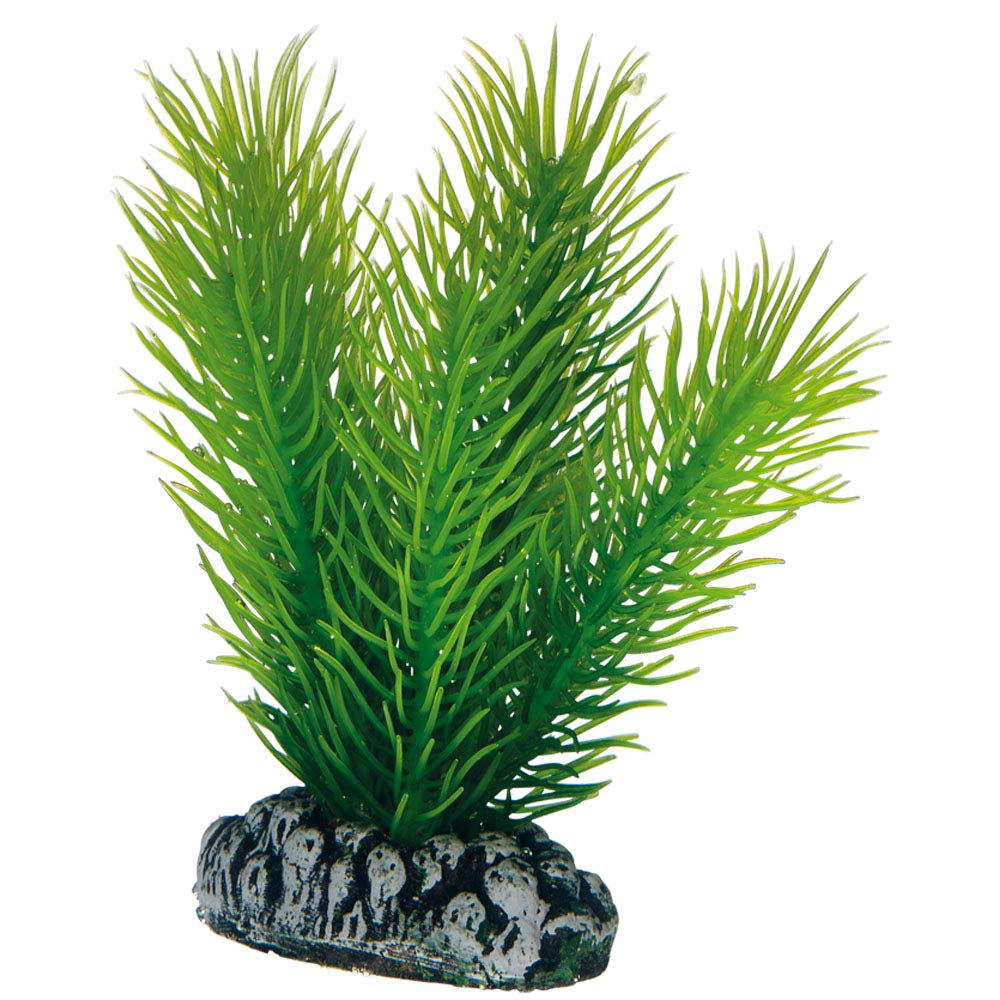 Hobby Plantasy 51483 Lot de 4 Plantes artificielles