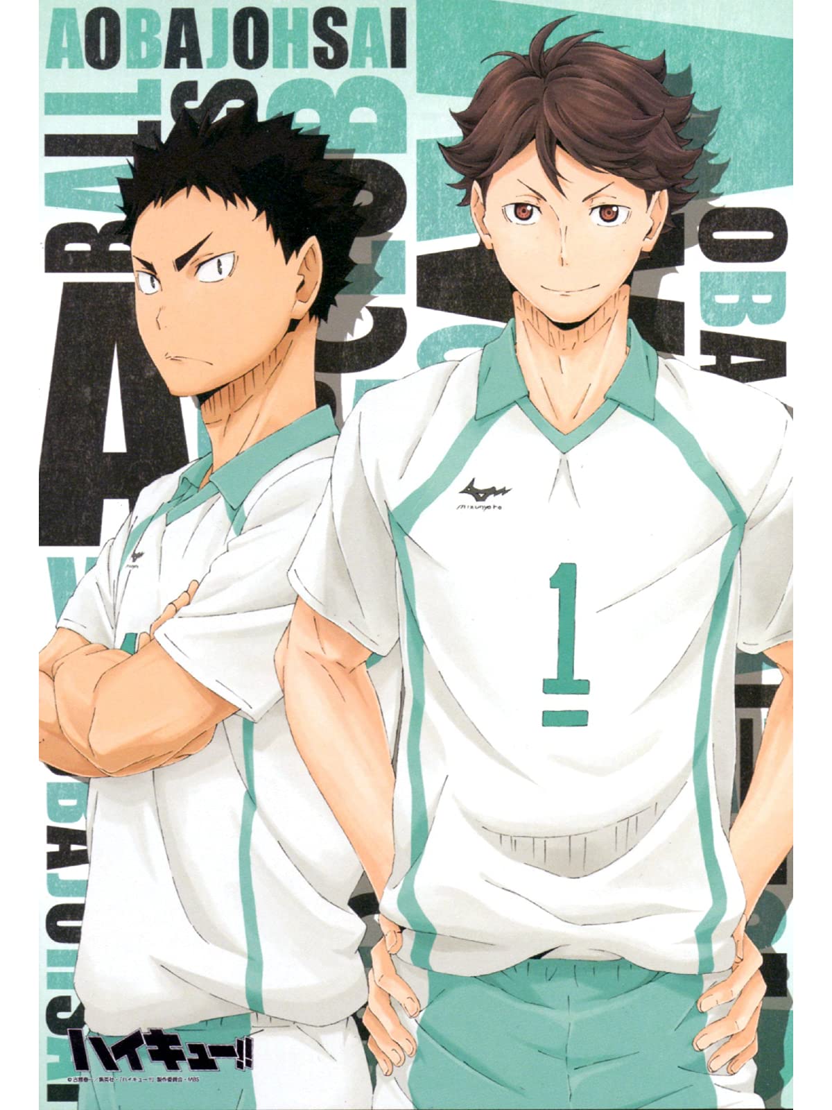 WowPosters Anime Haikyuu!! (Volleyball) Aobajohsai Poster - 21x30 cm