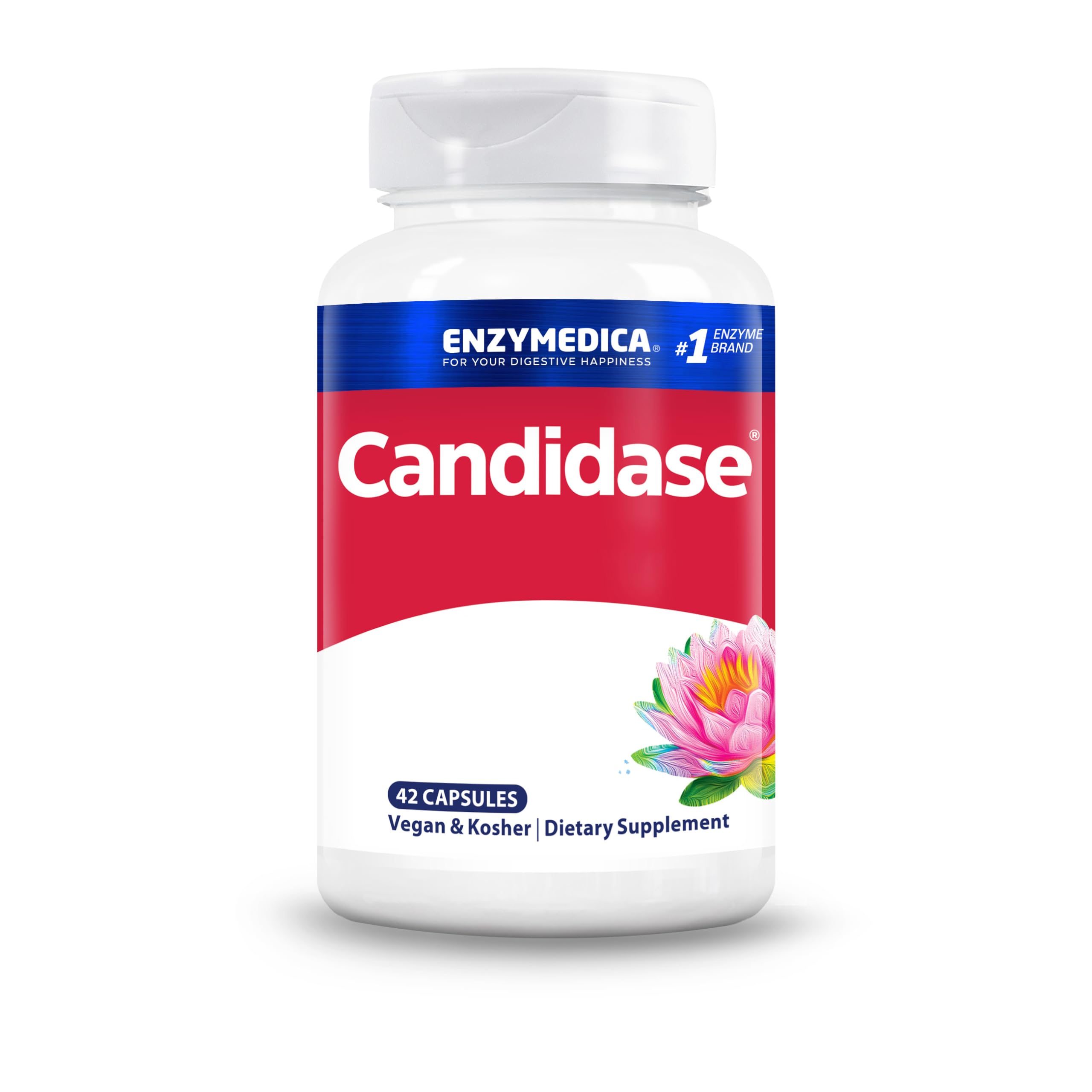 Enzymedica, Candidase, Cellulasi e Proteasi, 42 Capsule vegane, Altamente Dosato, Testato in Laboratorio, Senza Soia, Vegetariano, Senza Glutine, Senza OGM