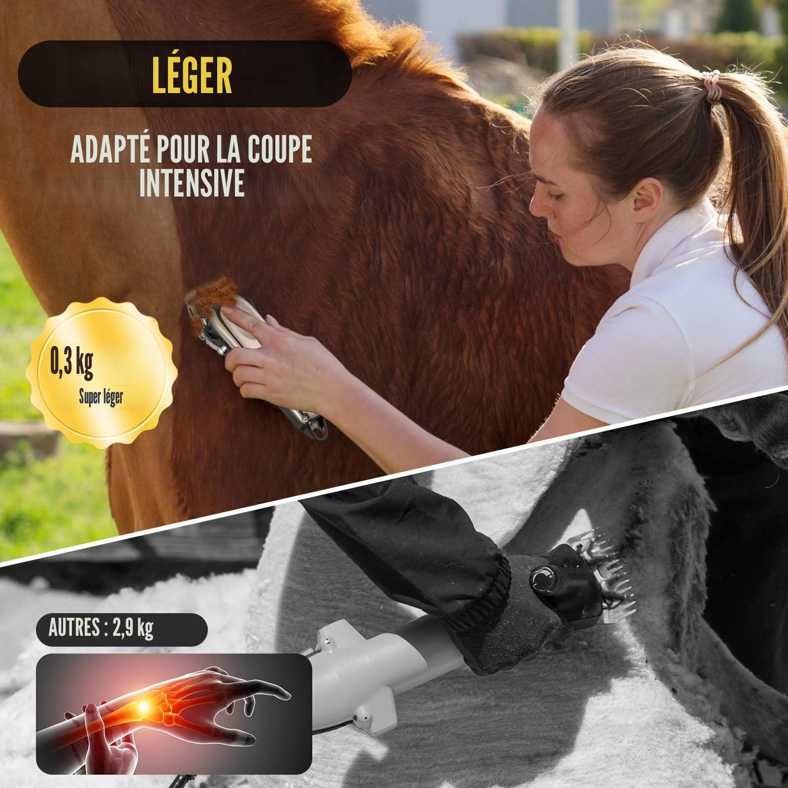 Tondeuse Sans Fil Professionnelle pour Chevaux - Électrique Rechargeable Toilettage Silencieuse - Tondeuse Animaux Poil Long - 4 Guides Inclus