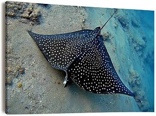 Canvas Wall Art Prints Picture eagle ray flight cayman islands pictures royalty free Framed Large Size Artwork Wall Painting Home Decor for Living Room Bedroom Ready to Hang 24"x36"