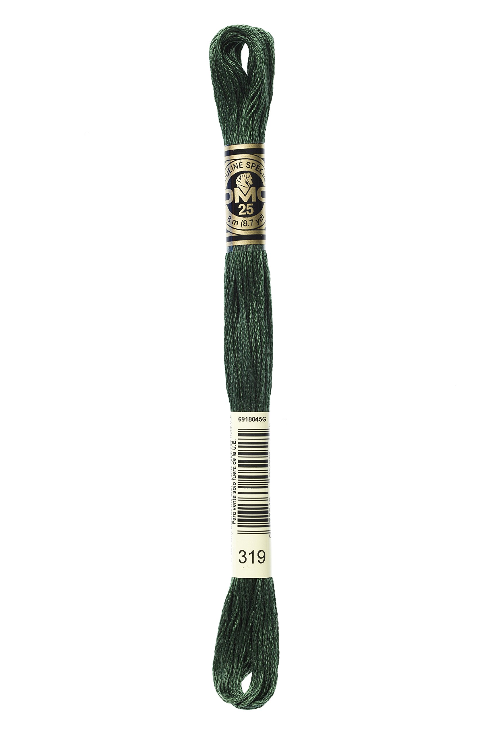Dmc 6-Strand Embroidery Cotton 8.7yd-Very Dark Pistachio Green