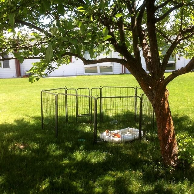 Foto 7 de 7 de Yaheetech 8 Parque para Perro 80x60cm Vallas para Perros Jaula de Cachorros Corral para Mascota Gato Animales…