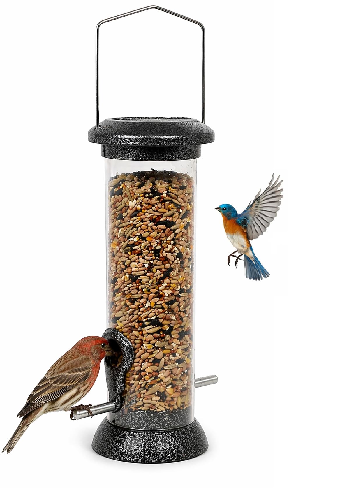 DIVCHI Bird Feeder Niger Seed Birdfeeder Heavy Duty Hanging Feeders Birdfeeder For Garden Wild Birds (Medium) — image 1