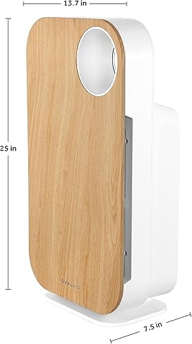 Miniatura 6 de OVAL AIR AIR1000C - Purificador de aire H13 True HEPA 5 en 1 de 3 etapas para alérgenos, polvo, mascotas, alergias, olor, humo, polen, habitaciones