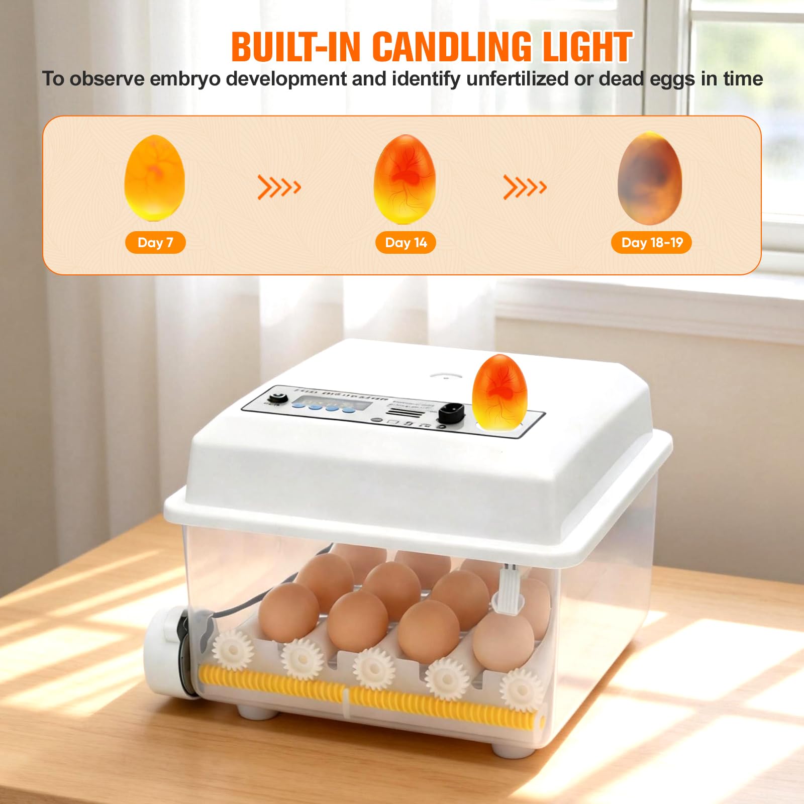 Incubadora totalmente automática para 16 huevos, incubadora con 5 modos de incubación automáticos, control de temperatura, giro automático de huevos cada 90 minutos, llenado automático de agua y luz