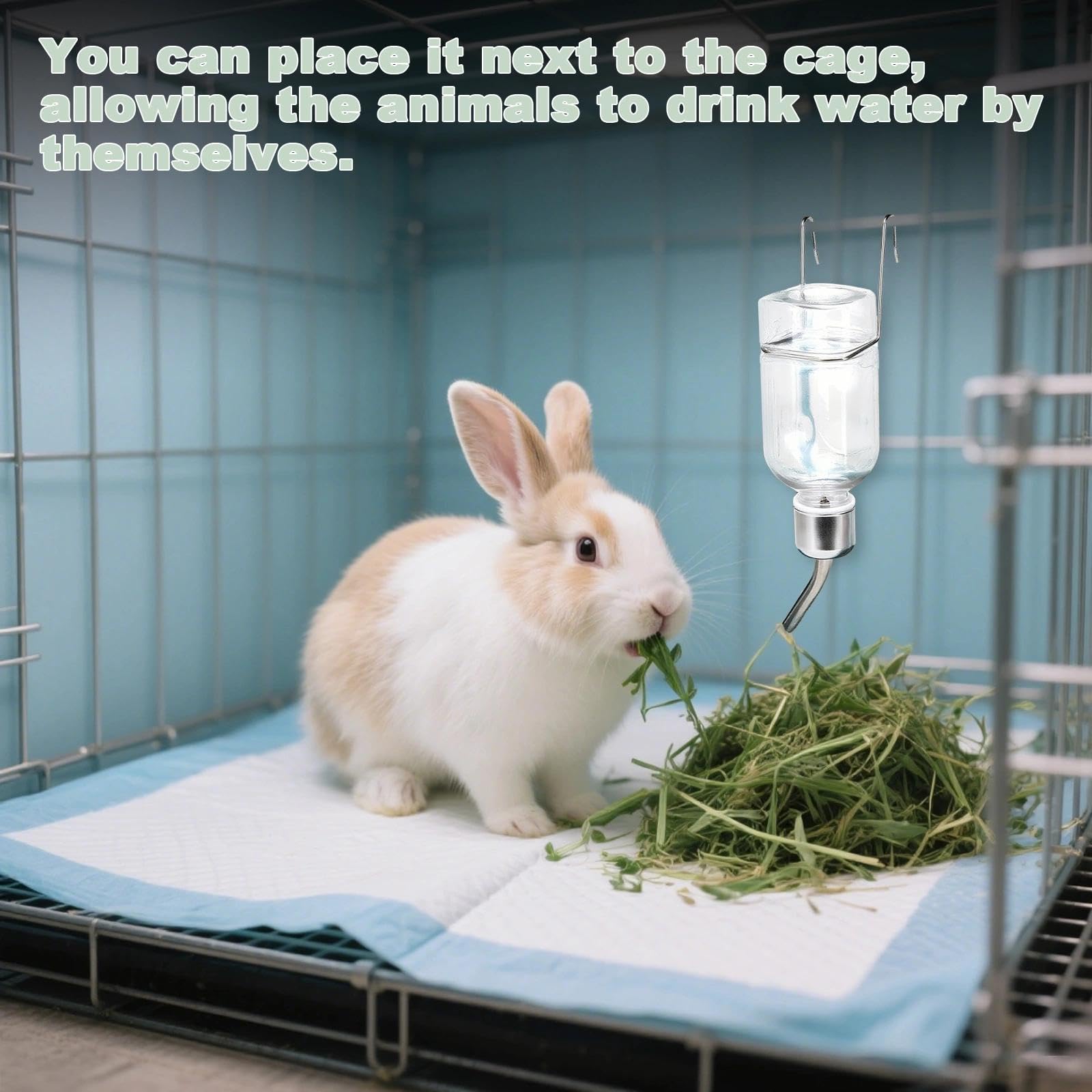 Rabbit Water Bottle, 2 Pcs Guinea Pig Water Bottle Non Drip with Feeding Dish - Image 4