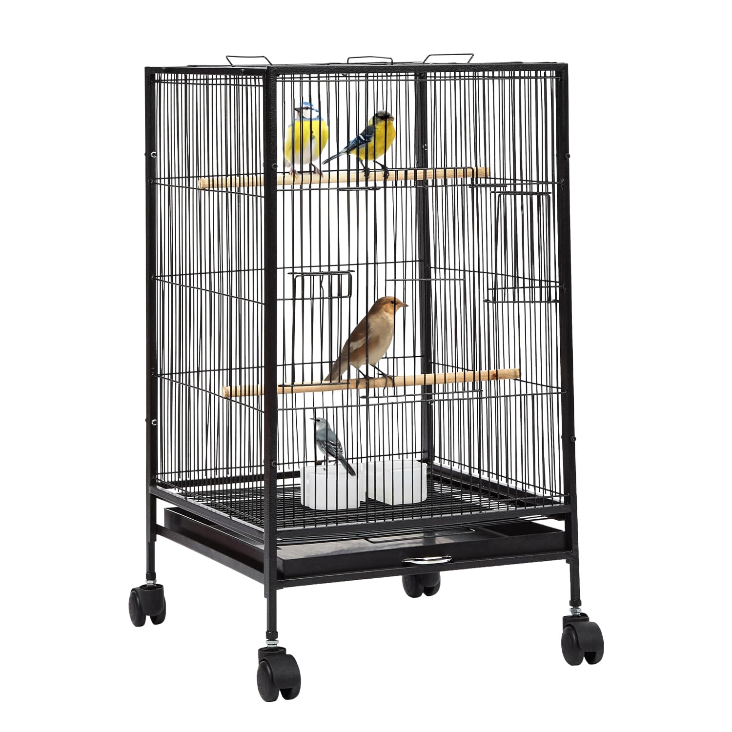 Amazon Basics 30-Inch Metal Bird Cage with Gate | Feeders, Wooden Perches & Tray | Ideal for Lovebirds, Parrots & Small Birds