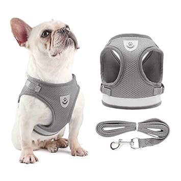 Dog Harness and Leash Set Reflective Adjustable Mesh Vest for Small Dogs Puppy Cats TOUFA