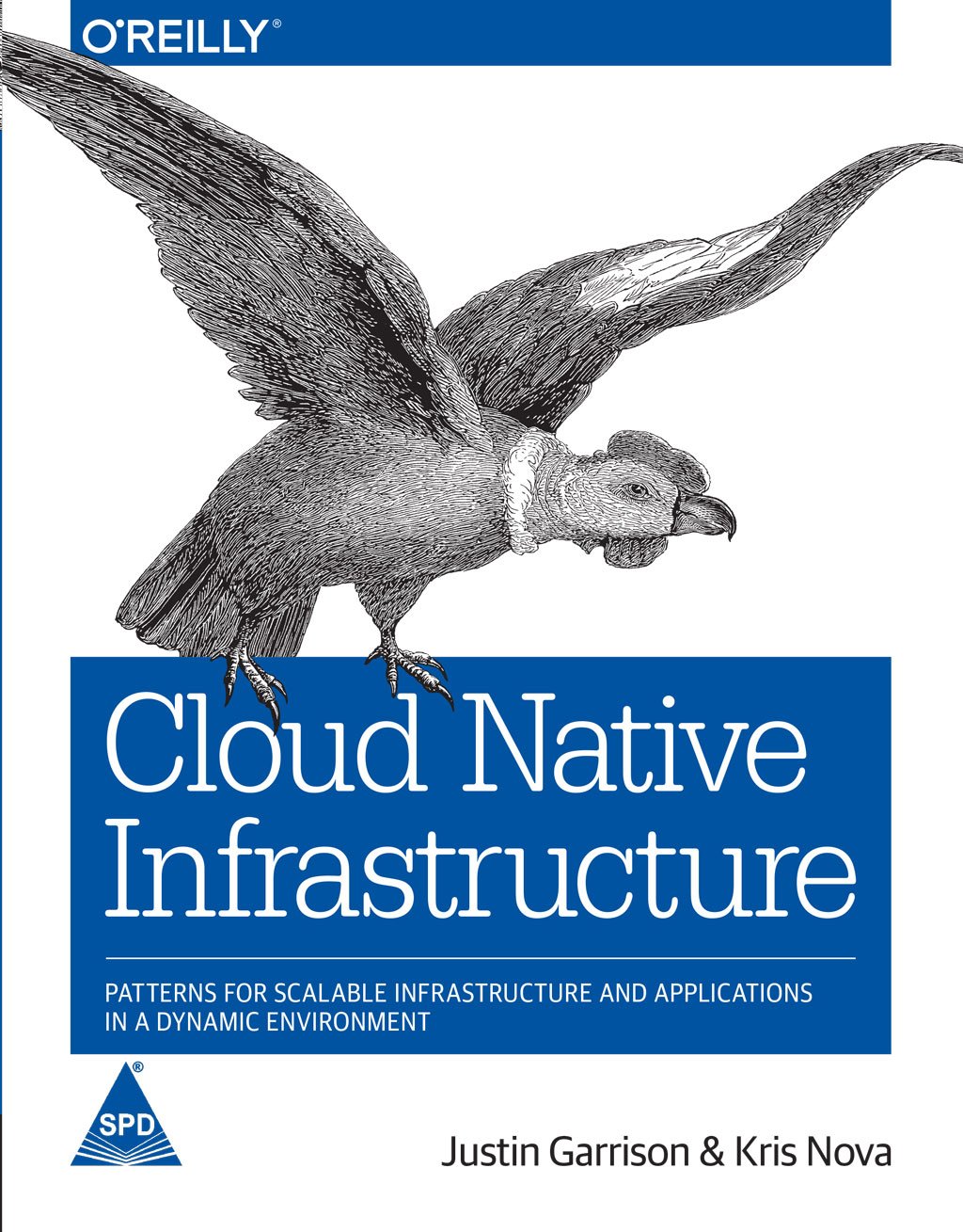 Cloud Native Infrastructure: Patterns for Scalable Infrastructure and Applications in a Dynamic Environment Paperback – 30 November 2017