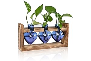 Captivating Heart-Shaped Terrarium: A Symphony of Nature and Design