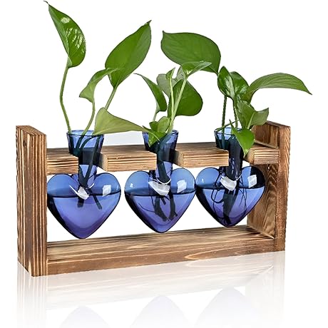 Captivating Heart-Shaped Terrarium: A Symphony of Nature and Design