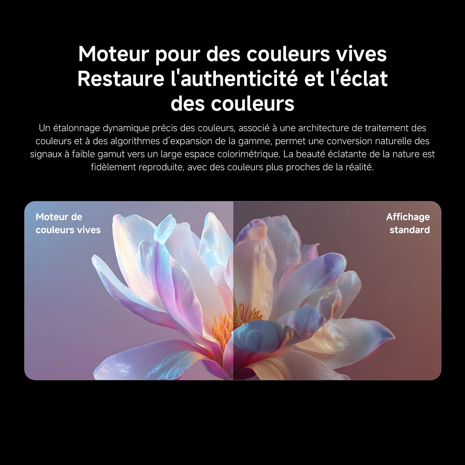 XIAOMI TV FX Mini LED 43" (101 cm) | Smart TV QD-Mini LED 4K UHD | Fire TV, HDR10+, MEMC | DTS:X, AirPlay 2, Mode Filmmaker, Commande Vocale Alexa