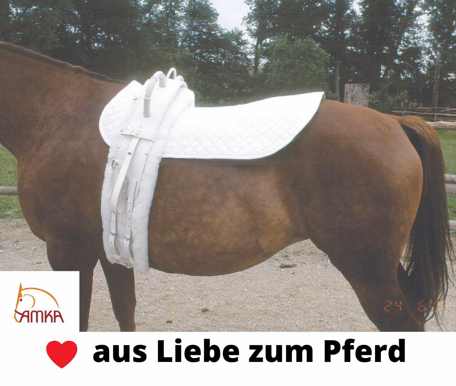 AMKA Voltigiergurt Cheval Warmblut mit runden Griffen und 2 Beinschlaufen, schwarz 057/88