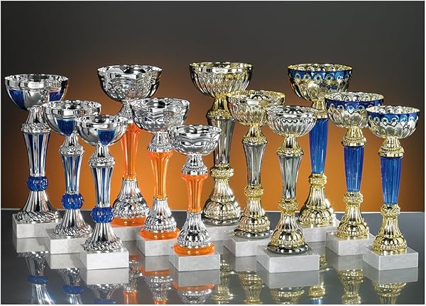 Lot de 12 Coupes trophées recompenses Entre 19 et 24 cm - 1