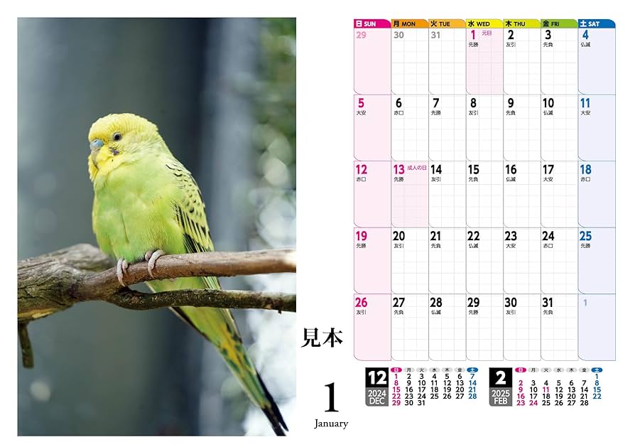 インコ　カラフル　オブジェ　書斎　キャビネット　極彩色　スタンド1 インコ カラフル オブジェ 書斎 キャビネット 極彩色 スタンド1