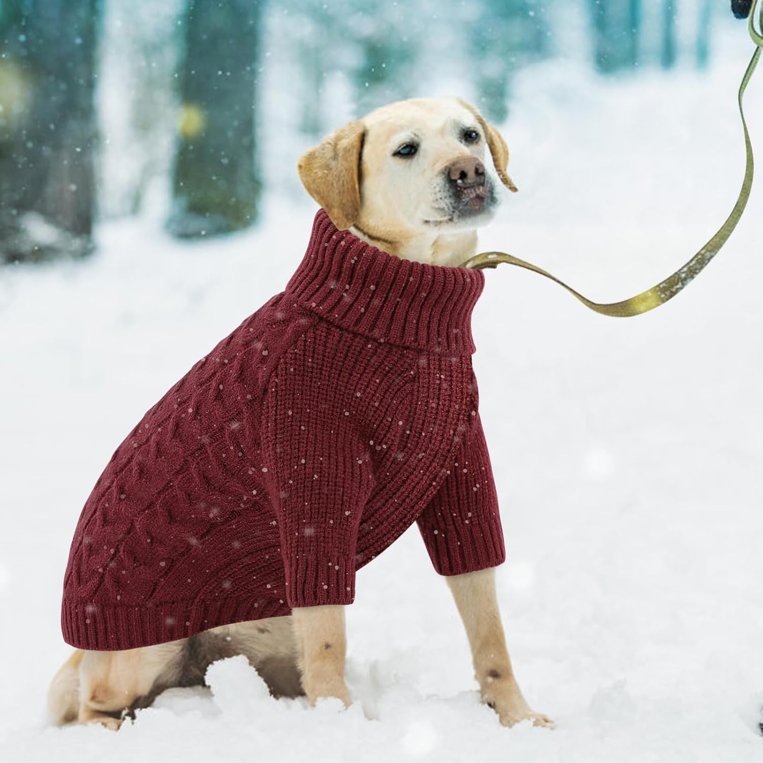 Queenmore Medium Dog Sweater, Dog Christmas Sweater, Warm Soft Sweaters for Dogs Girl Boy, Knit Winter Coat for Small Medium Large Dog (Burgundy, M)