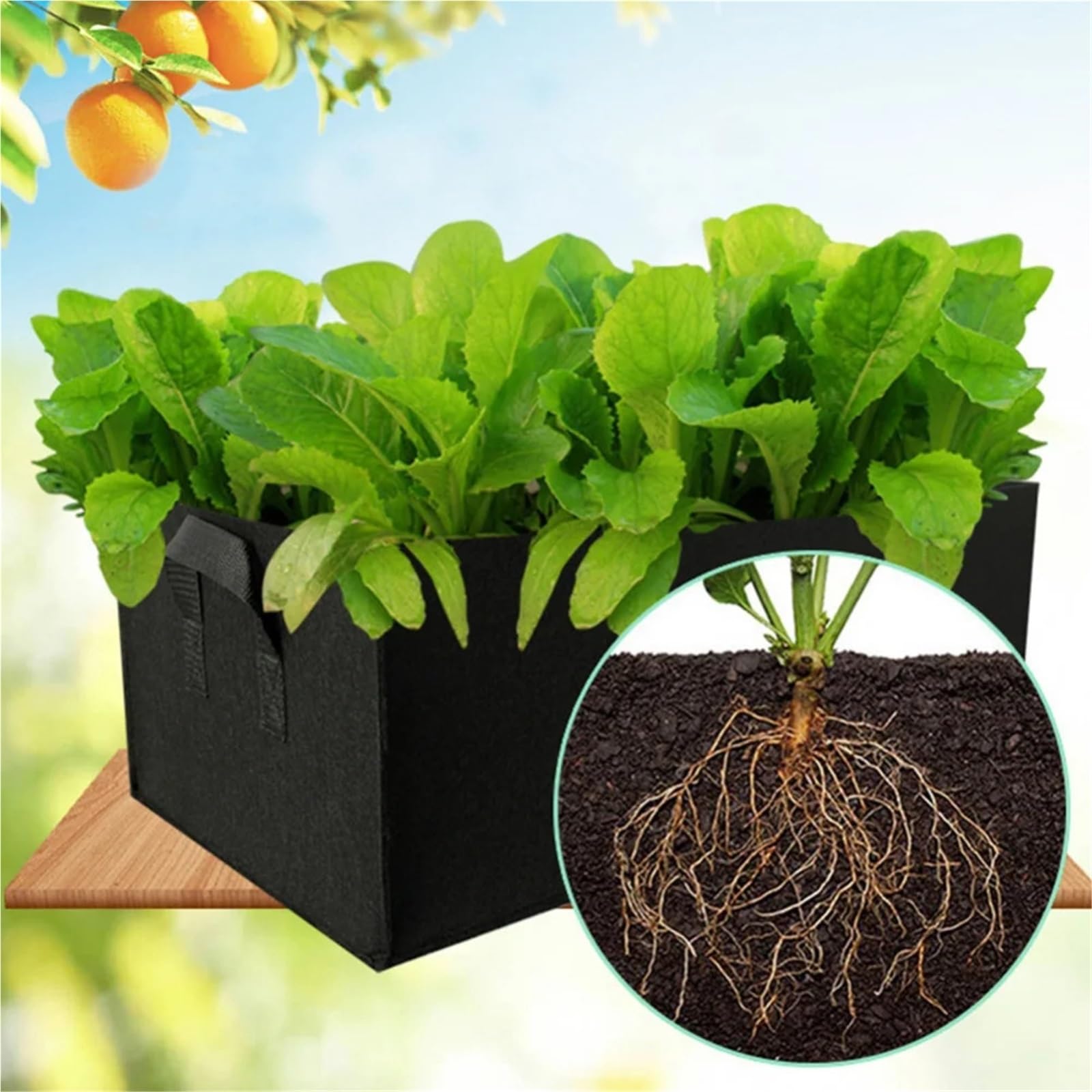 Bolsas De Siembra Bolsas de Cultivo de Plantas con 2 Asas, contenedor de plantación de Tela no Tejida Rectangular, Bolsa de Cultivo for Maceta de vivero para Papas，Tomates，Fresas(80x25x25cm)