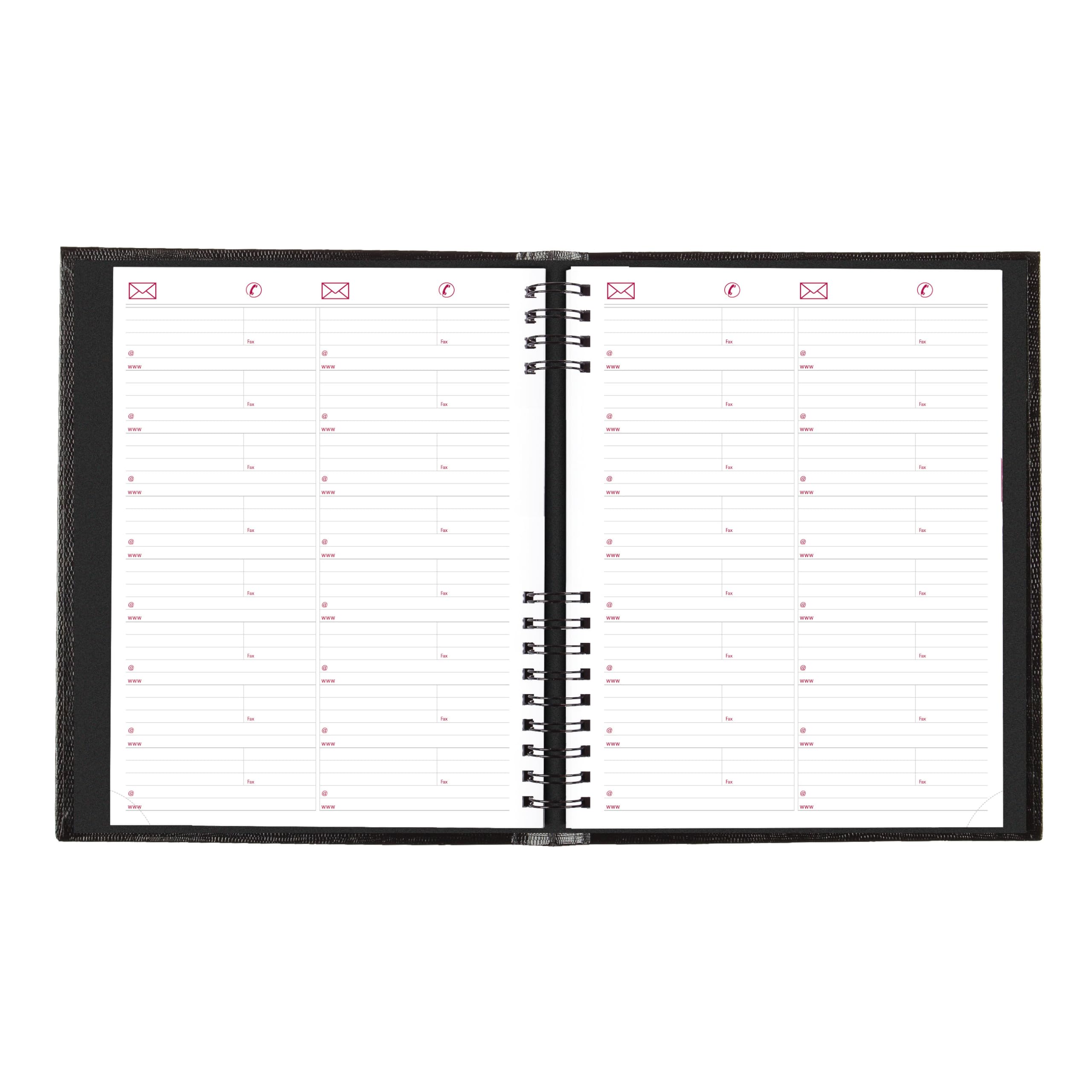 Brownline® CoilPro™ - Agenda diaria profesional 2025, libro de citas para cuatro personas, 12 meses, enero a diciembre, encuadernación de doble alambre, 11 x 8.5 pulgadas, negro (CB960C.BLK-25)