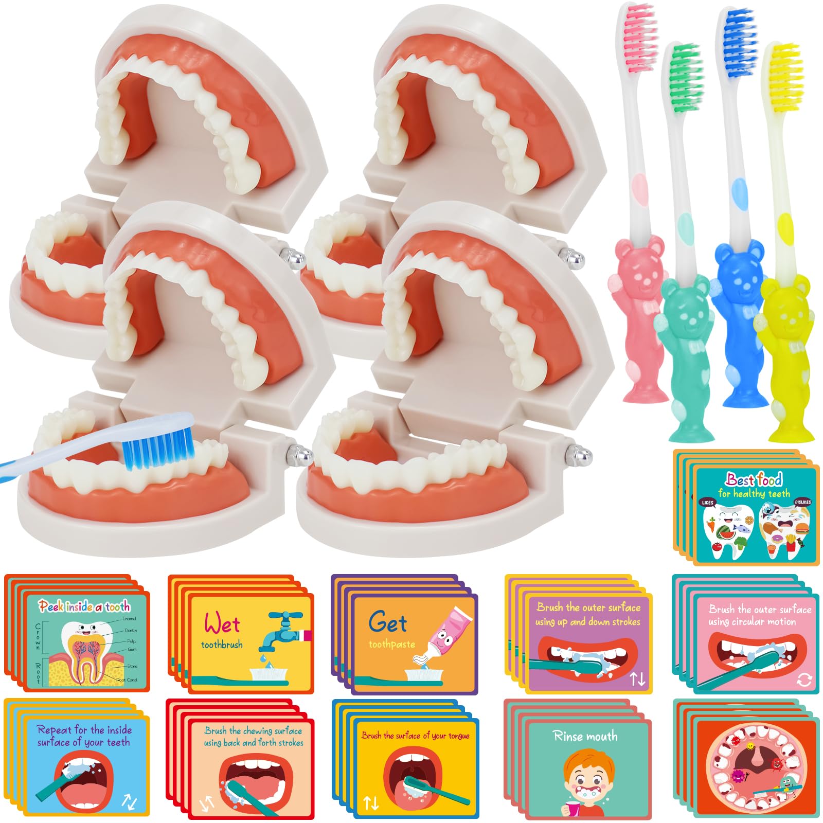 4 Set Dentist Kit for Kids Dentist Play Set with Toothbrush Dental Teeth Model Standard Size Fake Brace Demonstration Child Dental Educational Card Teaching for Children Student