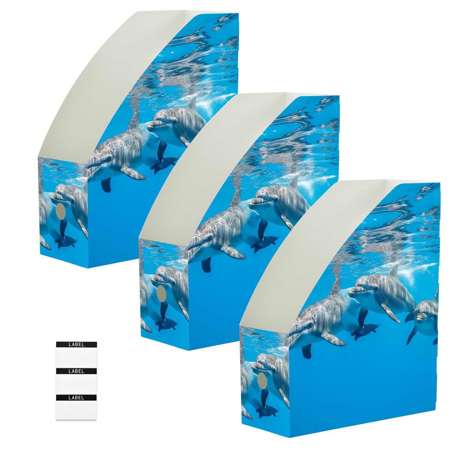 Liscio PP Cartoon Delfino Blu Portariviste File