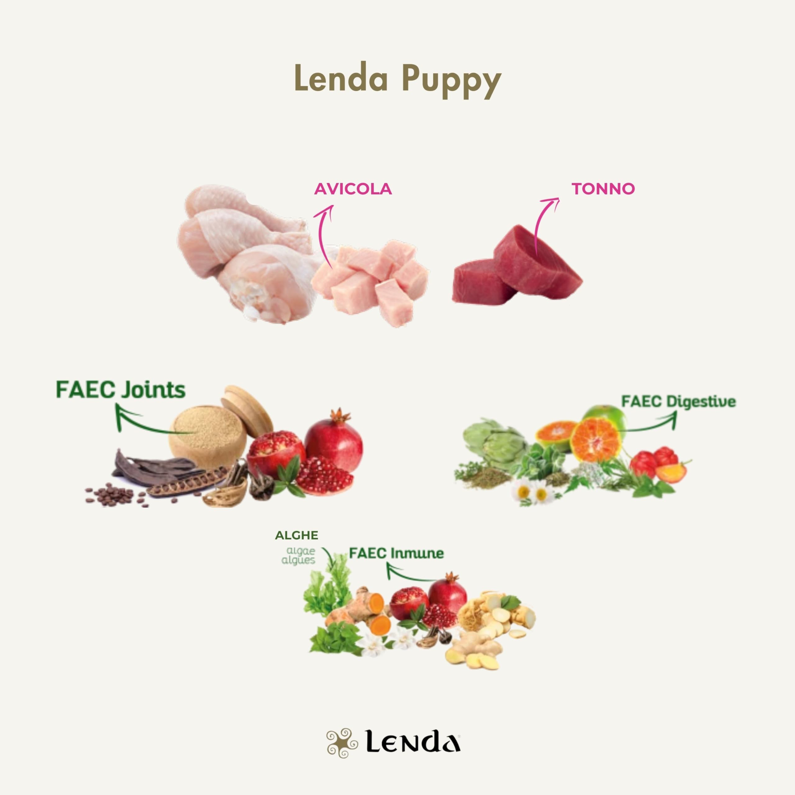Lenda Puppy 6 kg - Crocchette Cucciolo Cane Ipoallergeniche Per la Crescita - Croccantini Cane Puppy per Tutte le Razze - Con condroprotettori - Alimento Naturale - Crocchette Cuccioli Junior