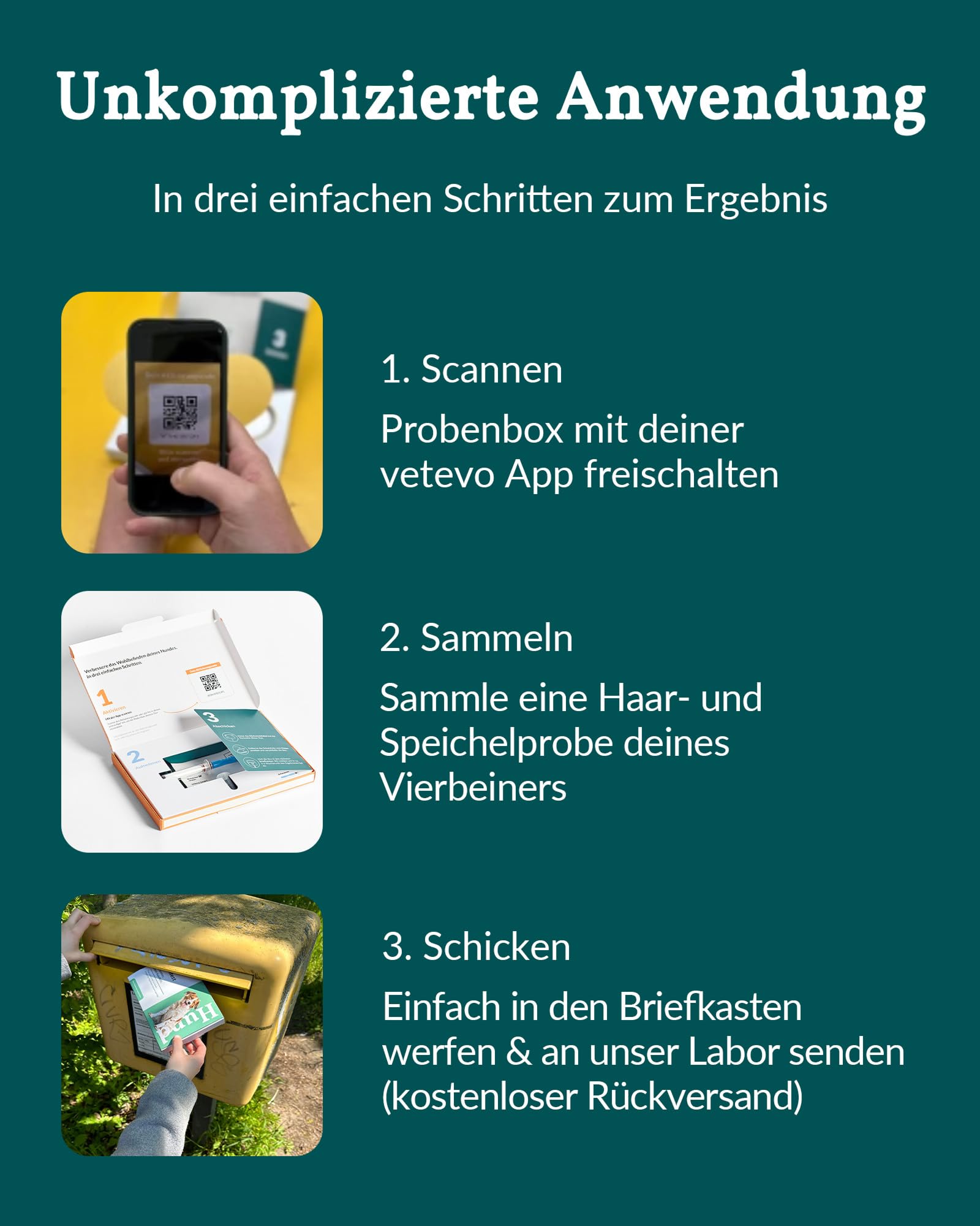 vetevo Allergietest Basic Katze, Unverträglichkeitstest Katzen, bei Juckreiz-Symptomen, Pfoten-Beißen & Niesen, 260+ Futtermittel Unverträglichkeiten Testen