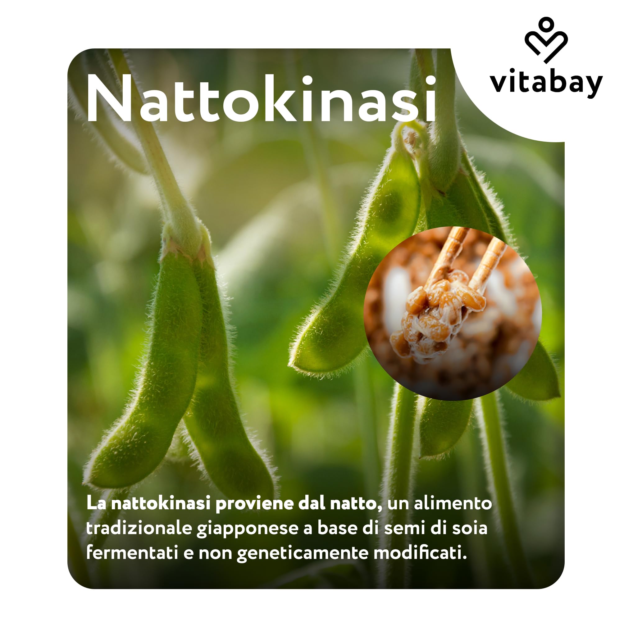 Vitabay Nattokinasi 2.000 FU alto dosaggio – 180 capsule softgel vegane – Nattokinasi liposomiale da soia fermentata – senza vitamina K2, senza additivi & testata in laboratorio – scorta 6 mesi